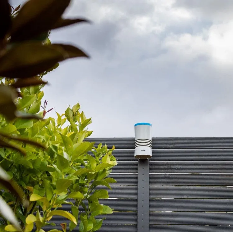 Nylex Digital Rain Gauge/Wireless Rain Collector Sensor/Weather & Temperature