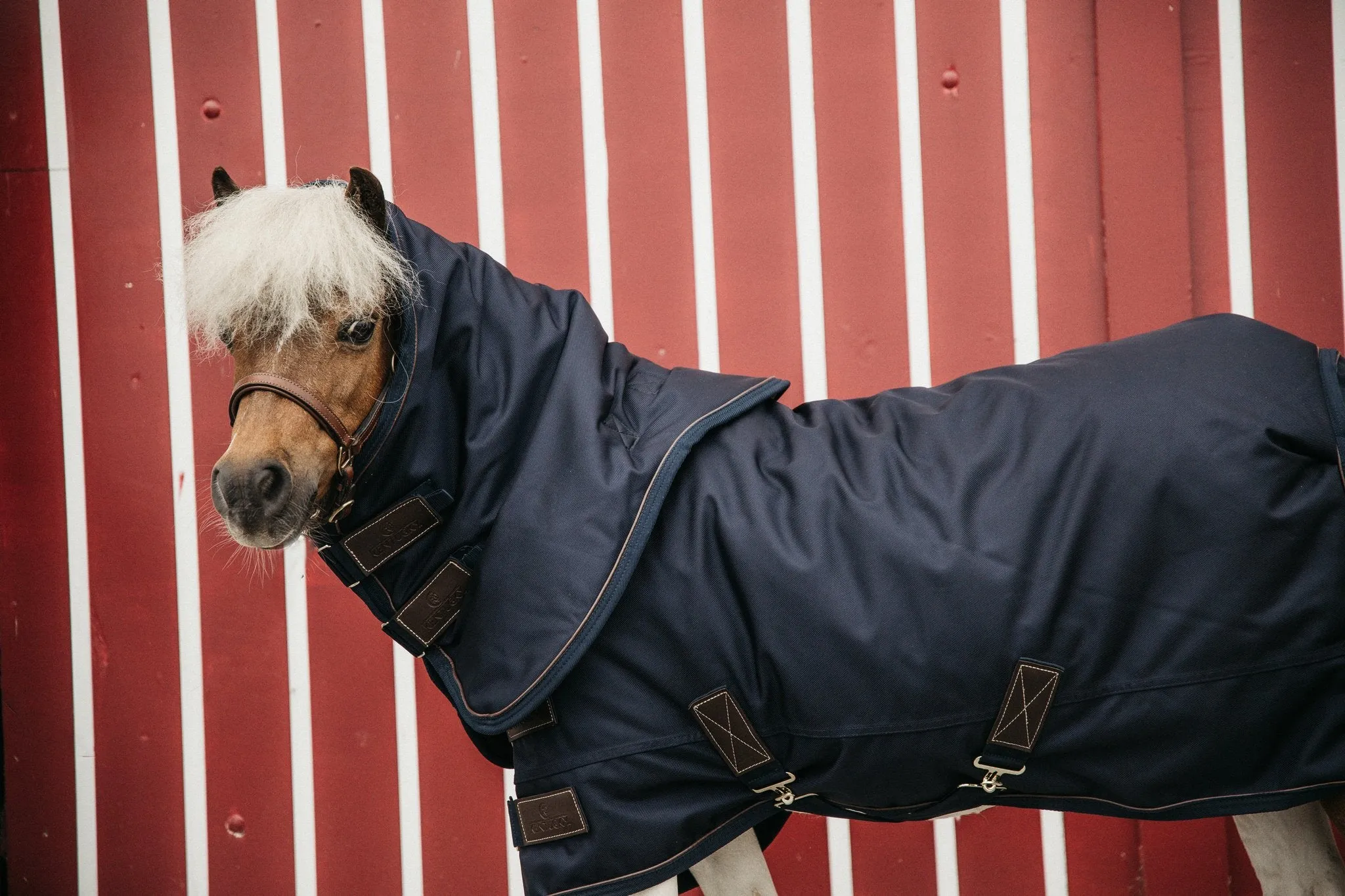 Turnout Rug All Weather Waterproof Pro 300g Tiny